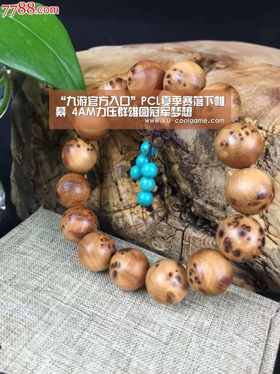 “九游官方入口”PCL夏季赛落下帷幕 4AM力压群雄圆冠军梦想(图3) 九游官方入口
